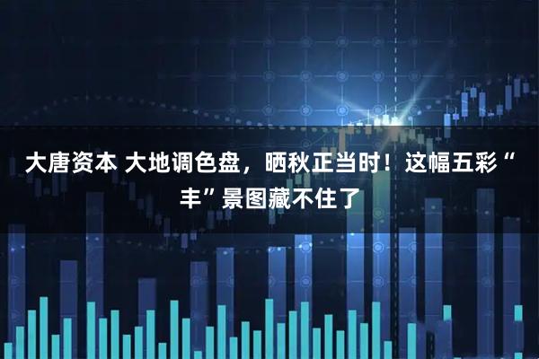 大唐资本 大地调色盘，晒秋正当时！这幅五彩“丰”景图藏不住了