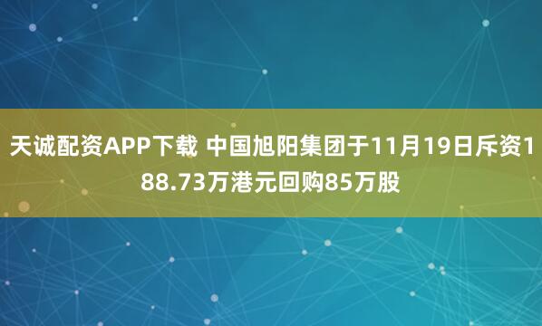 天诚配资APP下载 中国旭阳集团于11月19日斥资188.73万港元回购85万股