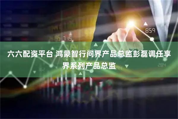 六六配资平台 鸿蒙智行问界产品总监彭磊调任享界系列产品总监