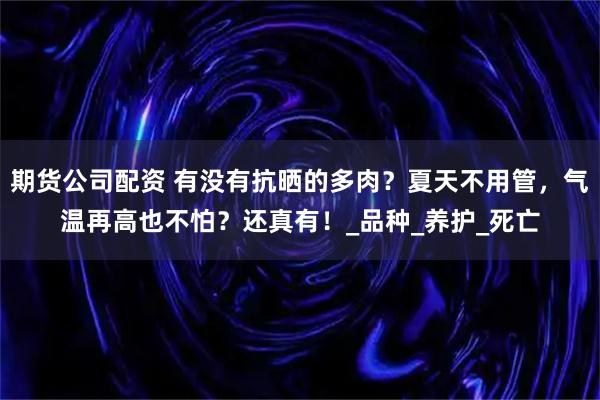 期货公司配资 有没有抗晒的多肉？夏天不用管，气温再高也不怕？还真有！_品种_养护_死亡