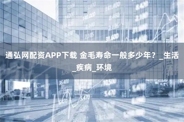 通弘网配资APP下载 金毛寿命一般多少年？_生活_疾病_环境
