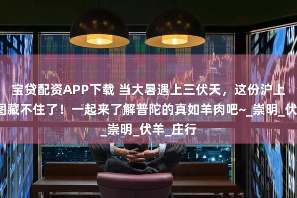 宝贷配资APP下载 当大暑遇上三伏天，这份沪上羊肉地图藏不住了！一起来了解普陀的真如羊肉吧~_崇明_伏羊_庄行